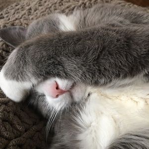 Meet your Posher, Sherry